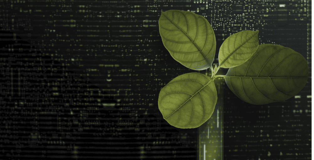 water cooling is driving sustainability in bitcoin mining water cooling is driving sustainability in bitcoin mining